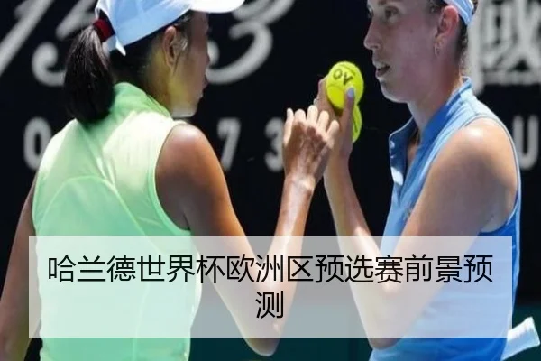 哈兰德世界杯欧洲区预选赛前景预测